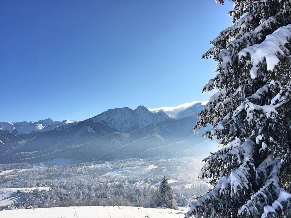 Good Morning Giewont & Jacuzzi Apartment กอสเชียลิสกอ ภายนอก รูปภาพ